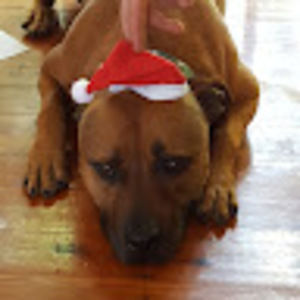 Meet your Posher, Cheryl